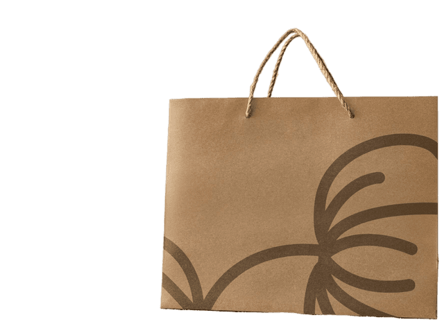 Paper Bags